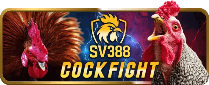 Cá cược các môn thể thao khác trên df999 app